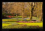 Keukenhof Hollandia 099